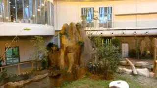 Zoo Negara awaiting arrival of pandas