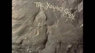 The Young Gods : Did You Miss Me? (1987)