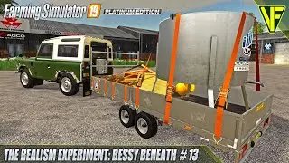 Setting up Bees! | The Realism Experiment: Bessy Beneath | FS19
