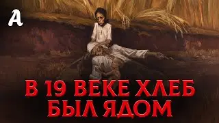 Почему Люди Массово Гибли От Хлеба И Картошки В 19 Веке?