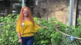 World Breastfeeding Month with San Antonio Zoo