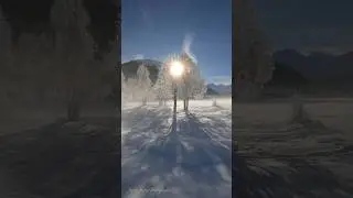 Winter in #switzerland #music #love #shortsvideo #nature #schweiz #suisse #winter #travel