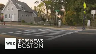 Grandmother injured in Stoneham hit and run crash