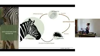 Soutenance thèse - Ethologie, écologie et dynamiques parasitaire en zoo