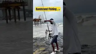 Fishing In Bandra Bandstand | मच्छी | बदरा | #bandstand #bandra #fishing