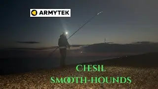 The best beach head-torch? Smooth-Hound fishing on Chesil with the ARMYTEK Wizard C2 Pro Max