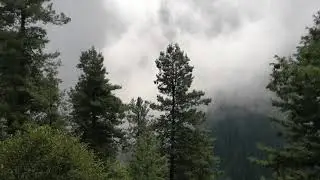 Murree in Summer