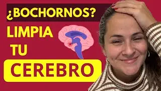 🔥LA MENOPAUSIA  EMPIEZA en tu CEREBRO 🧠 ELIMINA SOFOCOS 🔥