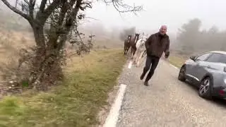 Vaucluse j7 transhumance retour à Murs