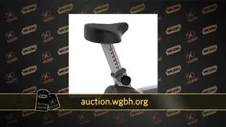 2015 WGBH Auction: #341 Lifecycle C3 Track Upright Bike