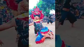 kiprah kucingan Jaranan manggolo putro #budayajawi #manggoloputro #mazyanofficial23 #hiburan