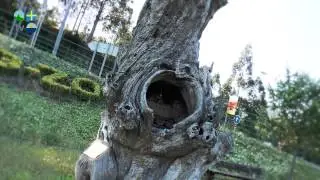 San Tirso de Abres - Turismo Asturias Televisi&oacute;n