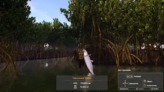 Уникальный Тарпон на 62кг, Остров Голубых Крабов,  Fishing Planet