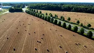 County Ag Census with Steve Newton