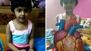 Fancy dress competition (heart)