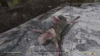 Highlight: Entwickler faselt: Fallout 76 [Deutsch]