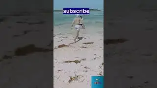 funnyvideos#mast#pleasesubscrib##mychannel #indianfun #shotsvideo#indianfun