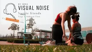 Ambient Flow - Visual Noise: Yoggie Friends
