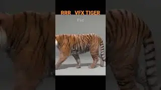 RRR VFX Breakdown Tiger #vfx #naatunaatu #cg