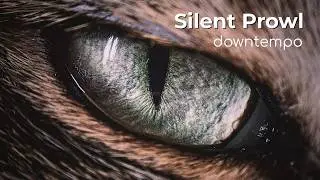 Silent Prowl: Echoes of the Stream (Part 2) | Organic House &bull; Deep Flow | Vitality