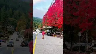British Columbia bursts in #FallFoliage in #October #explorecanada #canadatravel @ExploreCanada
