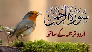 Surah Rahman Urdu Tarjuma k Sath | Qari Al Sheikh Abdul Basit Abdul Samad
