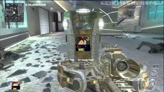 *DIAMOND CAMO ACHIEVED* MK 48, QBB LSW, LSAT, HAMR (LIGHT MACHINE GUNS)