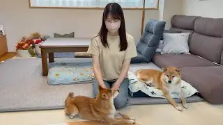 いつも見てくださっている皆さんへ、福のことでご報告があります。
