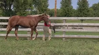 19 Kristella - Hip 74