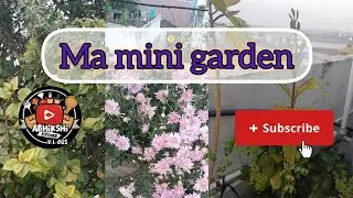 Ma mini garden 🏡#youtubevideos  #minigarden #srikakulamvlogs #abhikshikitchen #naturelovers #plants