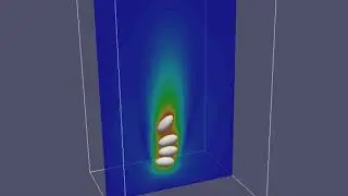 Sedimentation of four non-spherical particles in a box (lattice Boltzmann simulation)