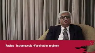 Rabies-What is the difference between Intramuscular and Intradermal vaccination?