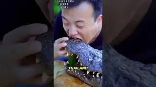 Thailand's Lucrative Crocodile Farms: The Million-Dollar Business! 🐊💰