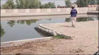Black Eursion coot hunting in Punjab 12bor gun shooting hunting Sihkari Nadeem baloch