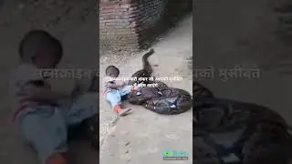 ##shiv##shankar##ki#kripya##short##short##video##alp##