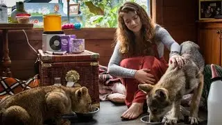 🎬THE WOLF AND THE LION&rdquo;(2021) full Movie Explain in Hindi.#movierecap 