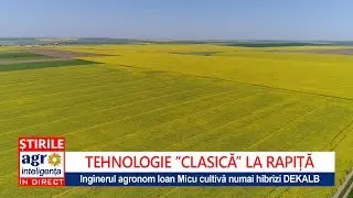 Tehnologia ”clasică” la rapița ing. Ioan Micu din comuna Horia, Constanța