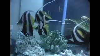 のとじま水族館 (2000.5.28)