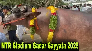 Sadar Festival 2025 Hyderabad | Sayyata Celebration at NTR Stadium | Full Event Video 