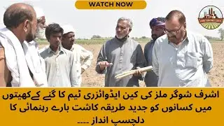 Briefing To Cane Growers in Field by Cane Advisory Team of Ashraf Sugar Mills Kissan Dost.