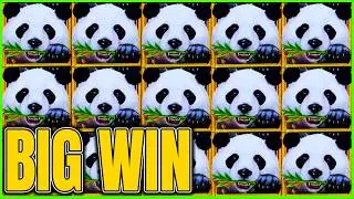 Мы разгромили все слоты Links!!! Слот Panda Magic Dragon Link