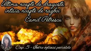 ULTIMA NOAPTE DE DRAGOSTE, INTAIA NOAPTE DE RAZBOI - CAMIL PETRESCU, Cap. 5 - Intre oglinzi paralele
