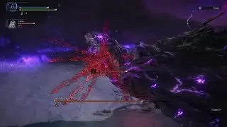 ELDEN RING NIGHTREIGN: Everdark Adel vs Bleed Resistance