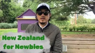 Ini Ongkosku Hijrah ke NZ (Apr 2025)