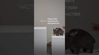 С чего начинается хоумстейджинг.  Modenature.ru