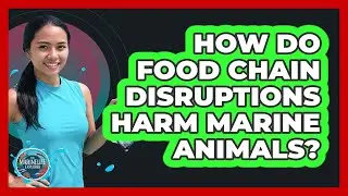 How Do Food Chain Disruptions Harm Marine Animals?