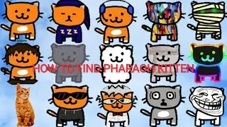 How to find pharaoh kitten (credits at end and description), CREDITS TO ANYTHING HERE