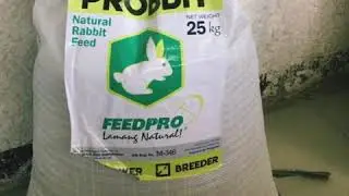 Probbit Natural Feed for Rabbit