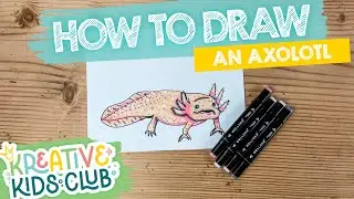 Learn How to Draw an AXOLOTL SALAMANDER | Educational Step-by-Step Drawing Tutorial for Kids!