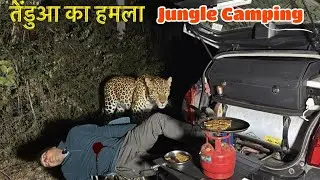 तेंदुआ देख कर रात में भागना पड़ा Night camping at haunted forest Jungle night camping video 